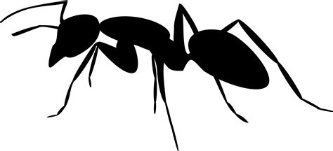 Ant Clipart Black And White 46 Cliparts