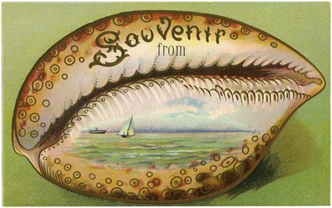 7 Souvenir Seashell Clipart The Graphics Fairy