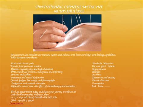 Traditional Chinese Medicine Acupuncture By Our Registered