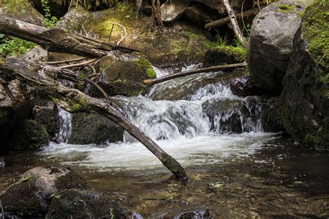 Free Images Landscape Tree Nature Forest Rock Waterfall Creek