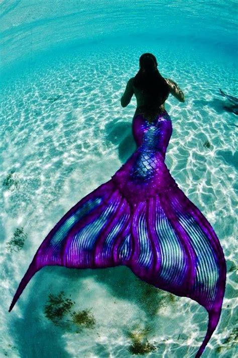 Turquoise Purple And Mermaids On Pinterest