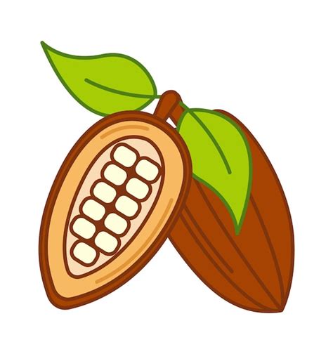 Icono De Fruta De Cacao Ilustración Vectorial Vector Premium