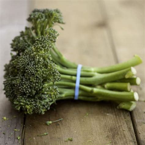 Baby Broccoli Zone Fresh