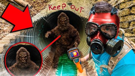 BIGFOOT Found In REAL LIFE SECRET TUNNEL! Using Box Fort ...