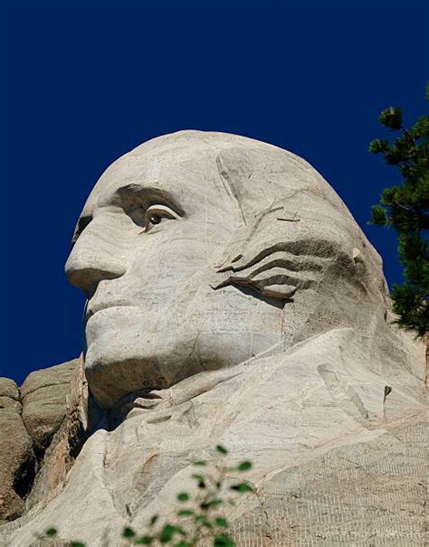 George Washington Profile Stock Photos Pictures And Royalty Free Images