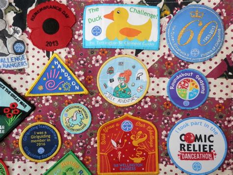 Second Hand Susie Collections Rainbow Guide Badges
