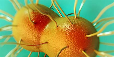 Gonorrhea Superbug Drug Resistant Gonorrhea Is Spreading And Becoming