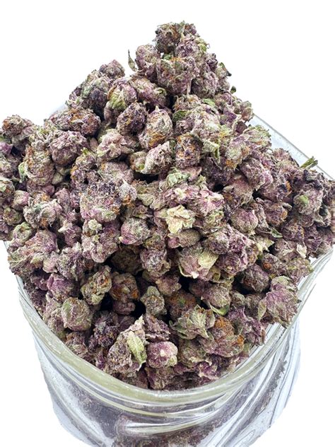 1oz or 2oz special pink panties exotic smalls purple penthouse