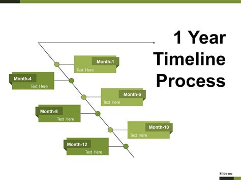 1 Year Timeline Process Example Of Ppt Powerpoint Presentation