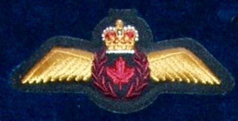 Royal Canada Air Force Rcaf Pilot Wing Collector