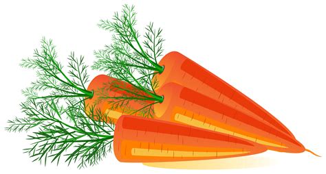 Carrots clipart carot, Carrots carot Transparent FREE for download on ...