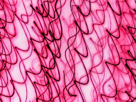 Abstract Pink Free Stock Photo Public Domain Pictures