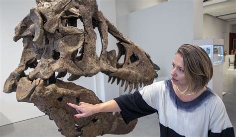 Tyrannosaurus Rex Skull Sells At Sothebys For 61 Million Well Below