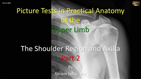 Picture Tests In Upper Limb Anatomy Shoulder Region And Axilla 2 Youtube