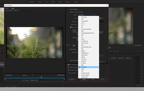 How to import quicktime mov files to adobe premiere? แก้ปัญหา Export ไฟล์ QuickTime ใน Adobe Premiere Pro