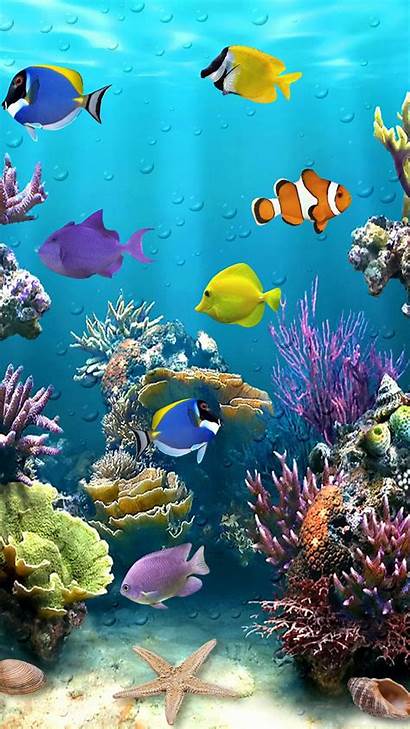 Fish Tropical Sea Wallpapers Android Ocean Iphone