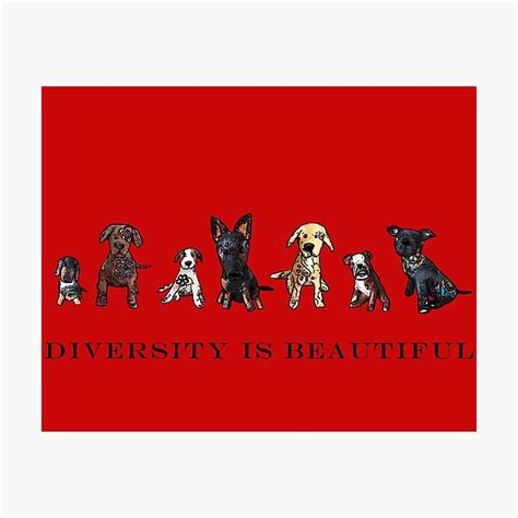 Diversity Is Beautiful Photographic Print For Sale By Kharts Redbubble