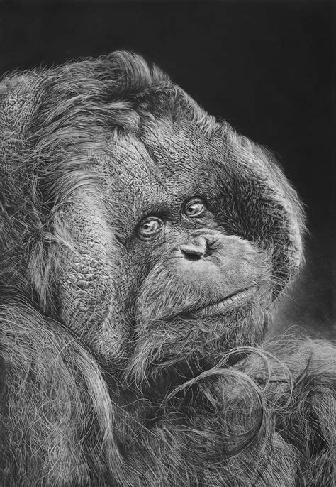 8 Photorealistic Drawings From Artist Monica Lee Expatgo