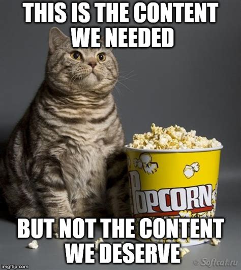 Cat Eating Popcorn Memes Imgflip