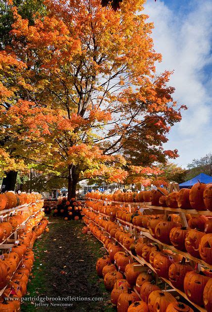 Fall Color In Keene Nh New England Pumpkin Festival