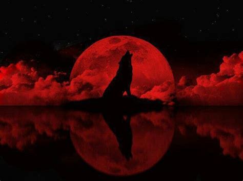 Wolf Howling To The Red Moon Alpha Pinterest