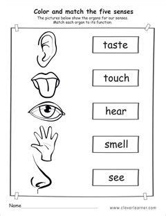 senses worksheets  kindergarten worksheetpedia