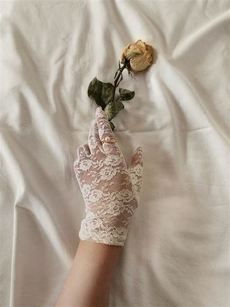 classic 🕊 lace gloves aesthetic gloves aesthetic elegant gloves