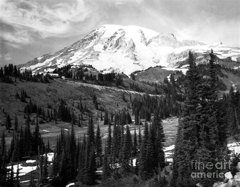 Mt Rainier And Paradise Lodge 1950 Photograph By Merle Junk