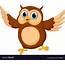 Happy Owl Cartoon Royalty Free Vector Image  VectorStock