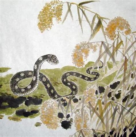 Chinese Snake Painting 0 4449034 50cm X 50cm19〃 X 19〃