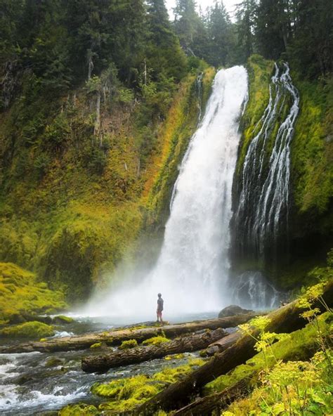 📍lemolo Falls Umpqua River Or Seattle To San Francisco Waterfall