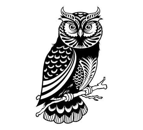 Wise Owl Clipart Black And White 10 Free Cliparts Download Images On