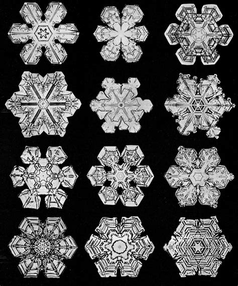 The Haunting Beauty Of Snowflakes Wilson Bentleys Pioneering 19th