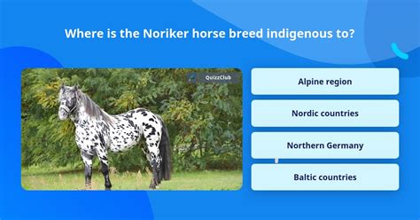 Where Is The Noriker Horse Breed Trivia Questions Quizzclub