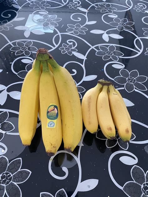 Small Bananas Bananas For Scale Rbananasforscale