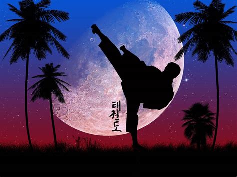 Cập nhật về hình nền taekwondo hay nhất coedo com vn