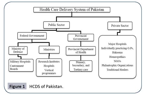 224 hospitals 9,547 beds doctors: Comparison and Analysis of Health Care Delivery Systems ...