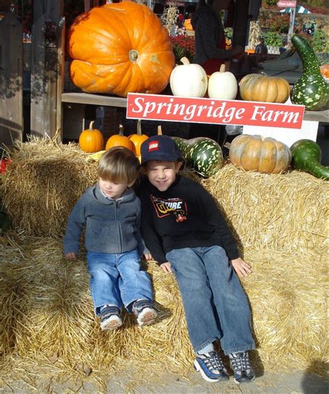 Kindergarten Confidential: Springridge Farm Opening Day - Friday April ...