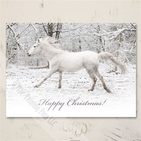 Christmas Card Horse