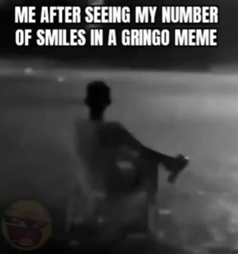Me After Seeing My Number Of Smiles In A Gringo Meme Ifunny