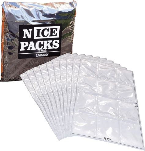 Live 2day Dry Ice For Shipping Food Ice Packs For Lunch Box For