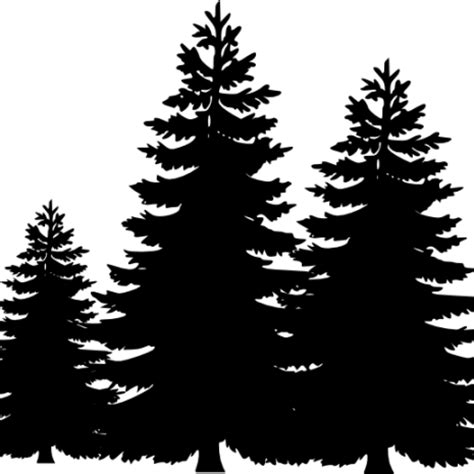 Silhouette Pine Tree Png Image Png All
