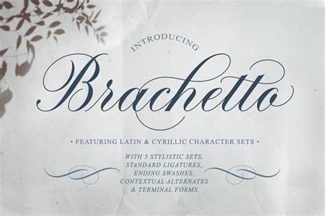 Before you publish your website, always check how your fonts appear on different browsers and devices, and always use fallback fonts! Brachetto Script Font - Design Cuts