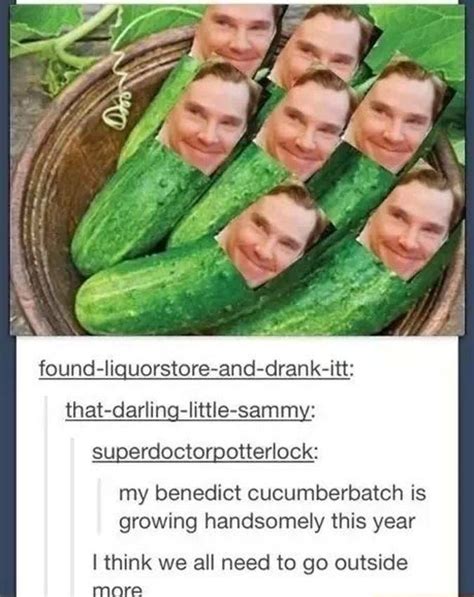 Tumblr Posts That Prove The Sherlock Fandom Is Scary AF Funny Pictures Sherlock Fandom