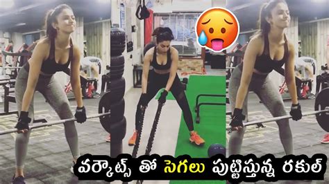 Rakul Preet Singh Super Hot Latest Gym Workout Video Rakul Preet