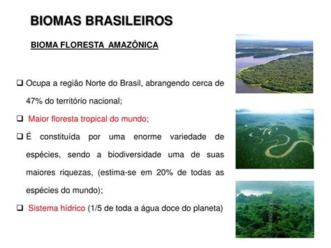 Constitui Um Bioma Brasileiro Que Se Estendia Originalmente