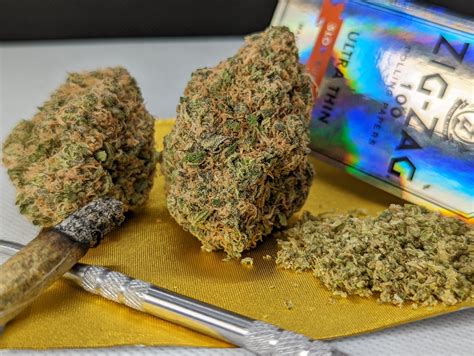 Buy Orange Kush Cake Strain - Balanced Hybrid Bud - Galaxy MJ • Fraser Bud