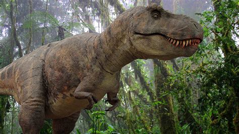 Footprints Of Last Dinosaurs Walked 110 Million Years Ago In Uk Found