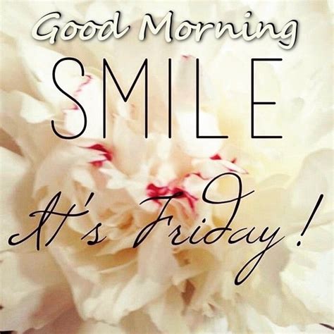 Good Morning Smile Its Friday Pictures Photos And Images For Facebook Tumblr Pinterest And