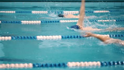Swimming Competition In The Pool Stock Footage Video 100 Royalty Free